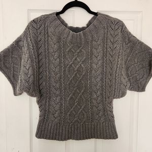 Express Short Sleeve Chunky Knit Sweater